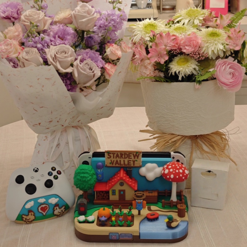 Switch Dock Stardew Valley Far - Gaming Console Holder 评论和价格